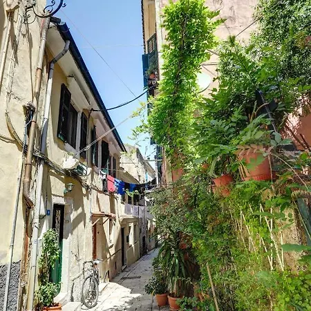 Apartamento Luminous 2bd Stone In The Alleys Of Corfu Town